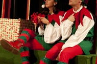 Dorinta de Craciun 2014-2015 (8)